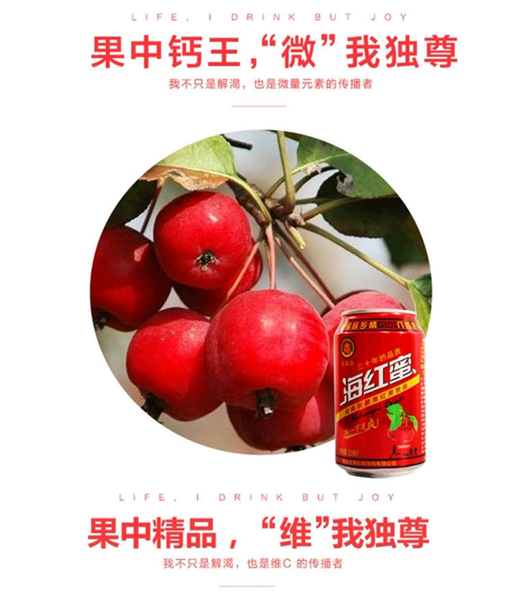 618开门红上海可发仙翁牌网红碳酸饮料河曲特产海红蜜310ml整箱24罐