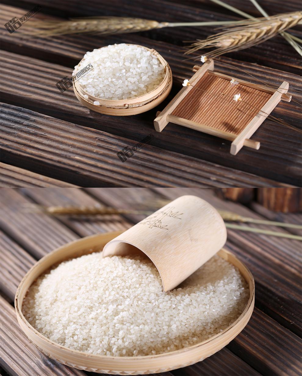 融雪崇明岛软香米10kg崇明软香米崇明大米2019年新米新大米崇明岛大米