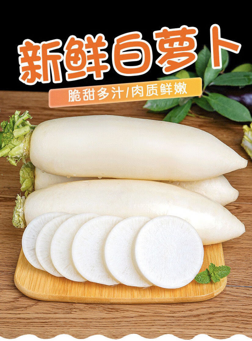 东北白萝卜 农家自种新鲜大萝卜 水果萝卜泡菜萝卜甜脆生吃炖汤华海春