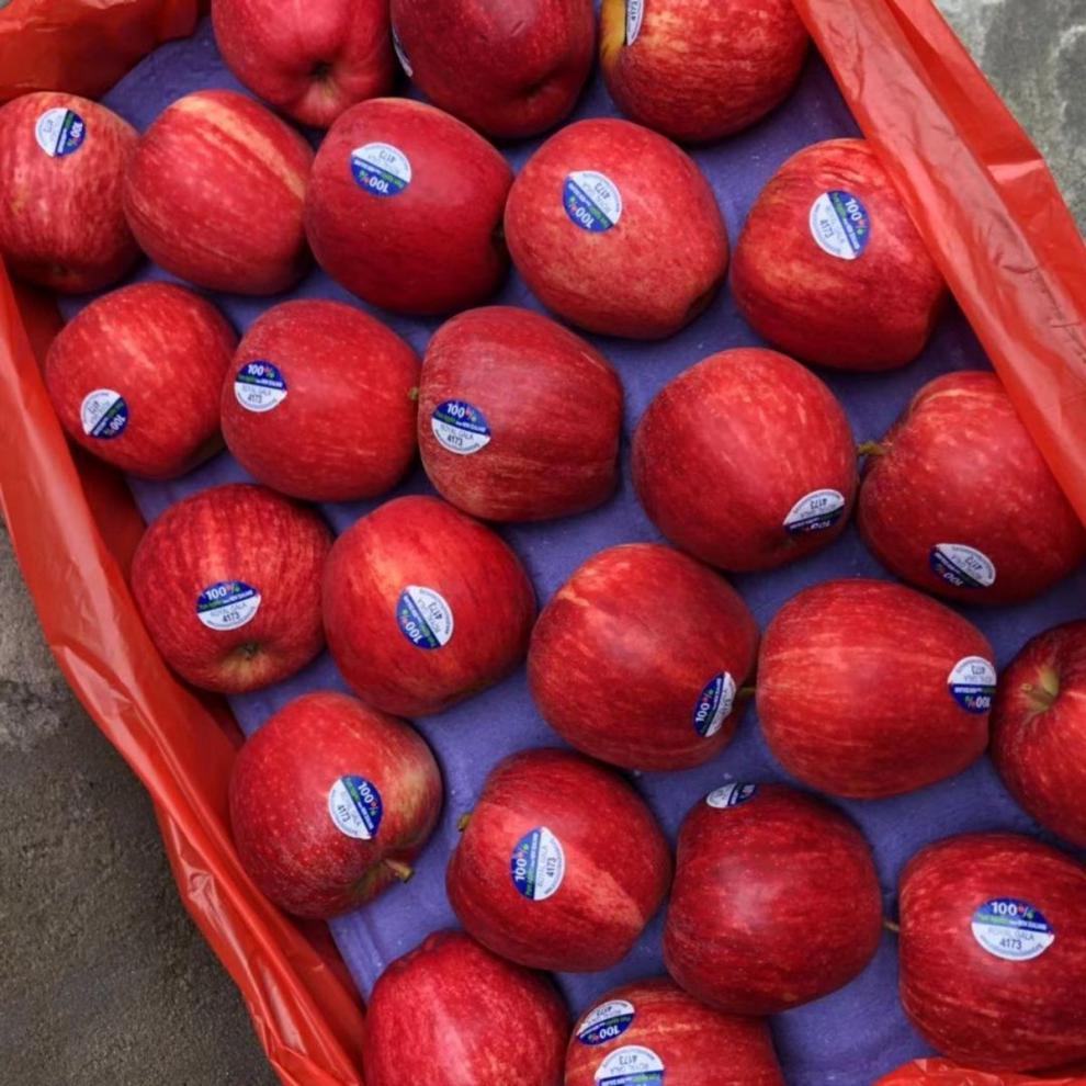 新西兰进口加力果 当季新鲜水果 嘎啦苹果 130