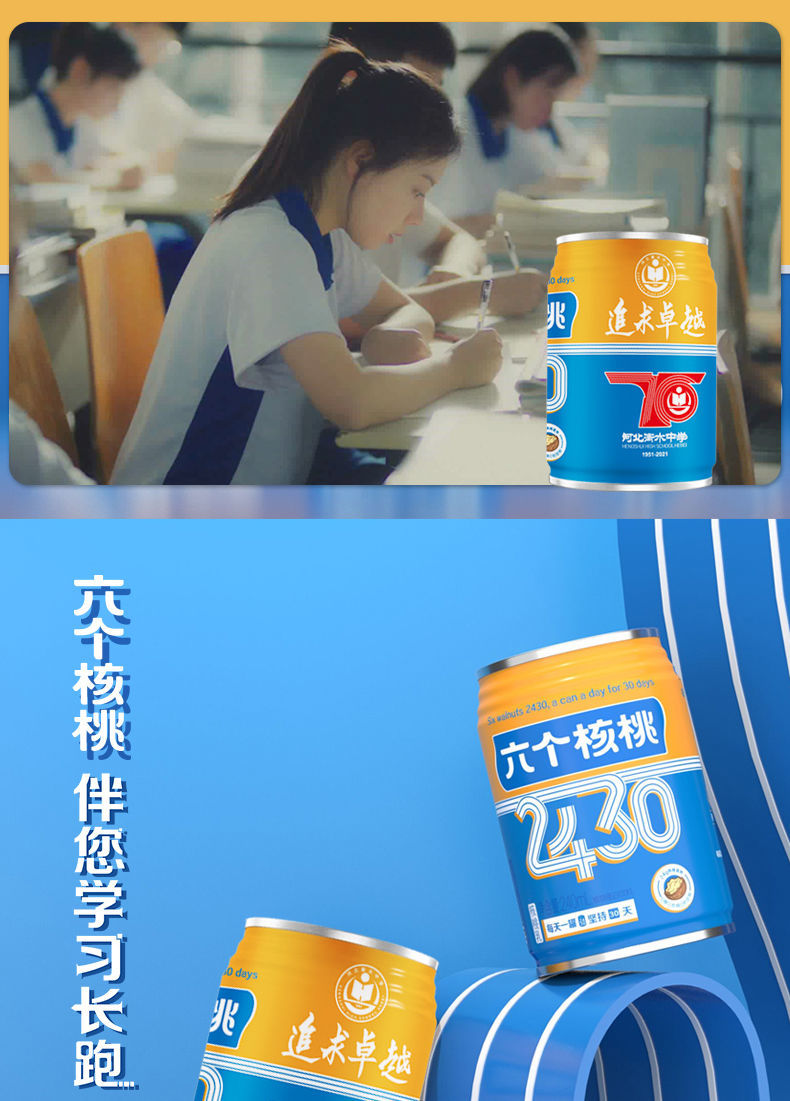 六个核桃240ml15罐养元六个核桃核桃乳植物蛋白饮料