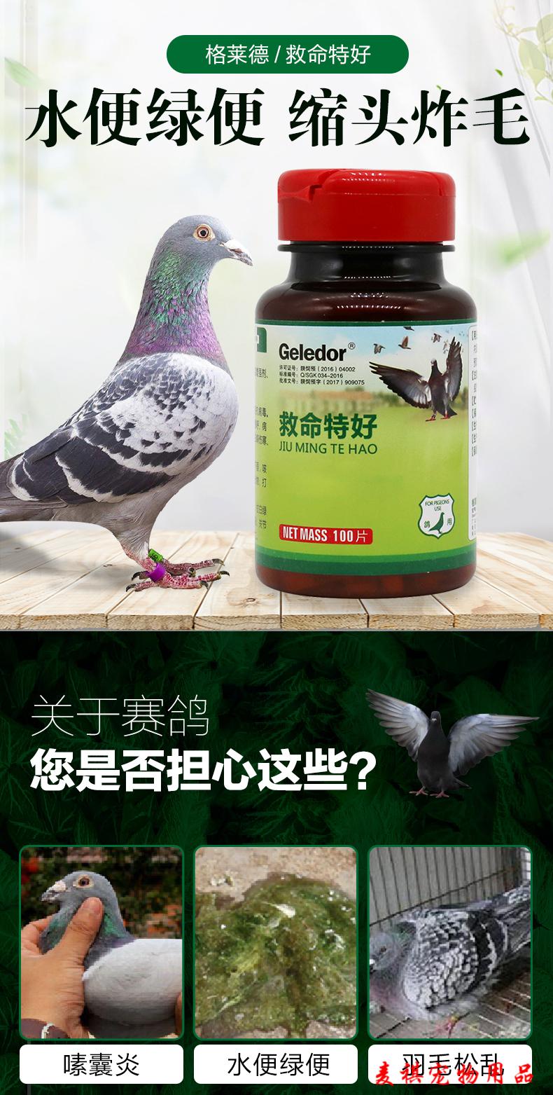 格莱德鸽药救命特好赛鸽病毒毛滴虫呼吸道新城疫腺病毒信鸽鸽子药