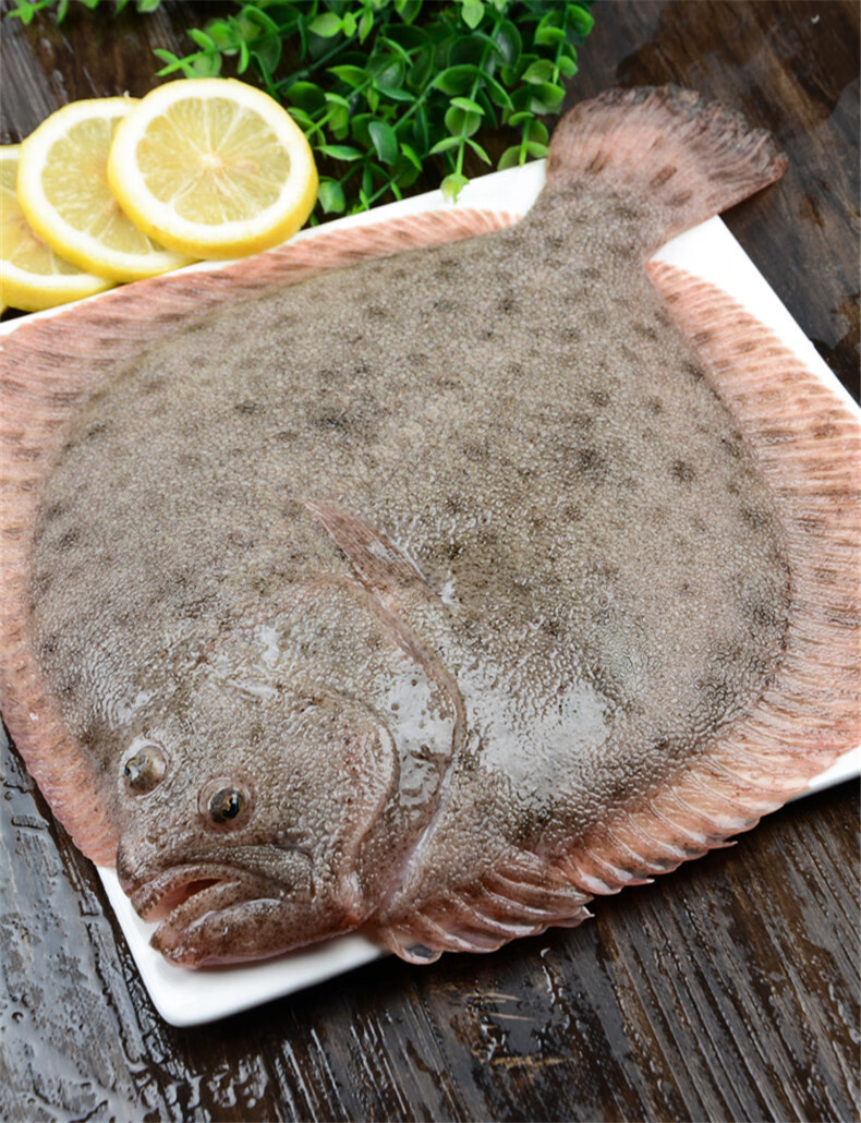 棠鲜生海鲜水产多宝鱼新鲜多宝鱼石斑鱼比目鱼花岗鱼江鱼菱鲆鱼2条装