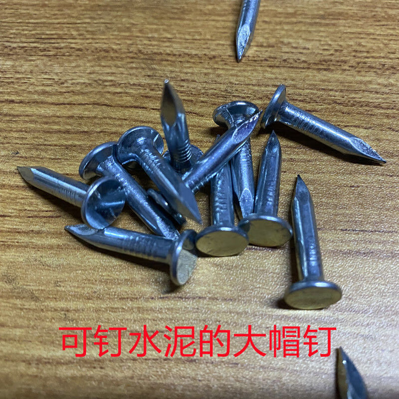 瓦钉大帽钉瓦楞钉沥青瓦钉木屋钉大头钉大帽水泥钉1寸一斤310支25厘米