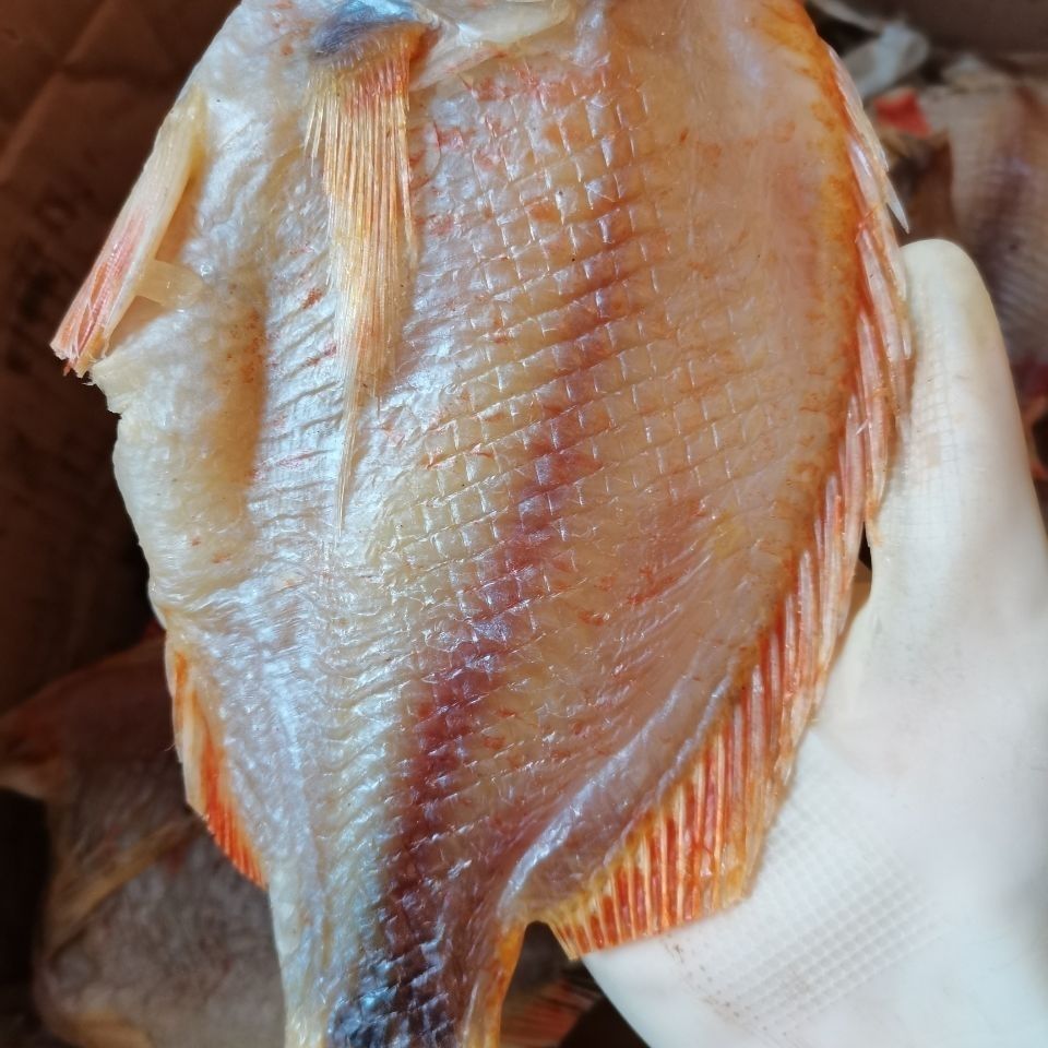 广东特产红鱼深海鱼干淡晒鱼干去头去肚海鱼红立鱼生晒海鲜干货 300克