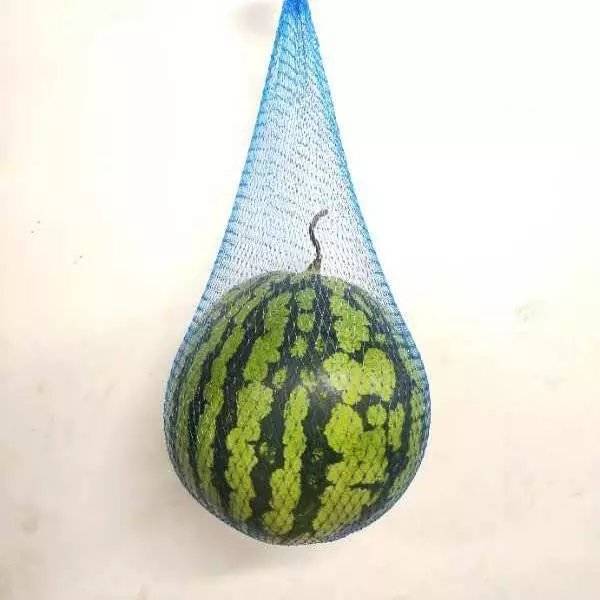 精选哦几吊瓜网大棚吊西瓜网兜塑料网袋农用哈密瓜带绳手提抽绳掉北极