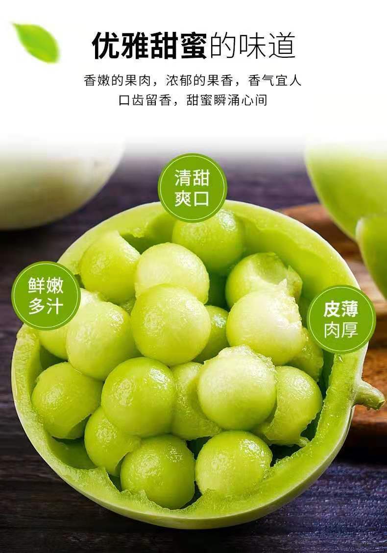 精选现发现摘玉菇甜瓜香瓜蜜瓜3510斤当季水果批发精选头茬玉菇带箱