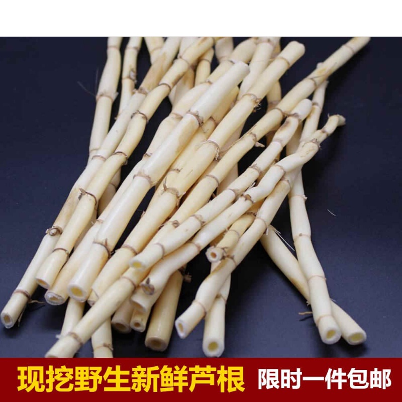 伟博 新鲜白芦根 真空 新鲜 芦苇根 另有白茅根凉茶食材500克【图片