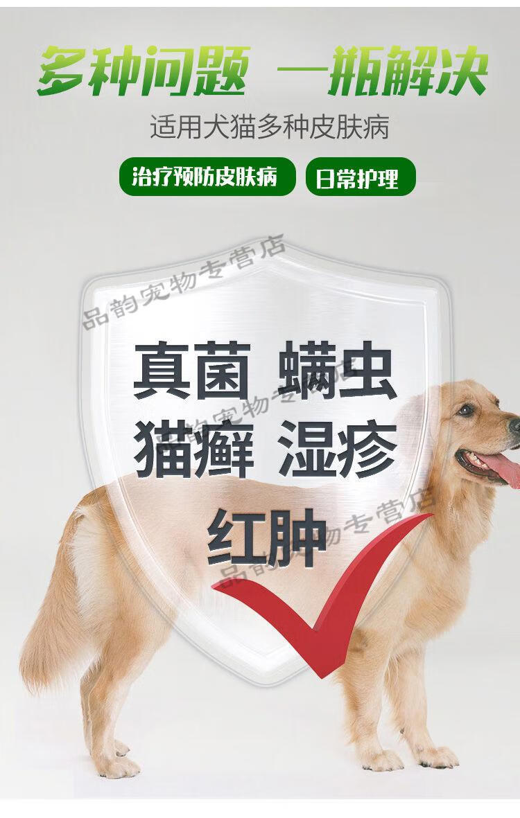 猫癣用什么药效果最好图片