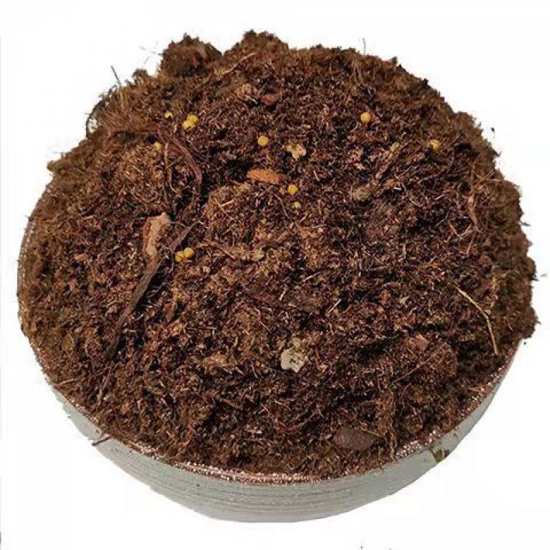 品氏泥炭土丹麦纯原装多肉植物专用营养土整包家用月季君子兰 品氏