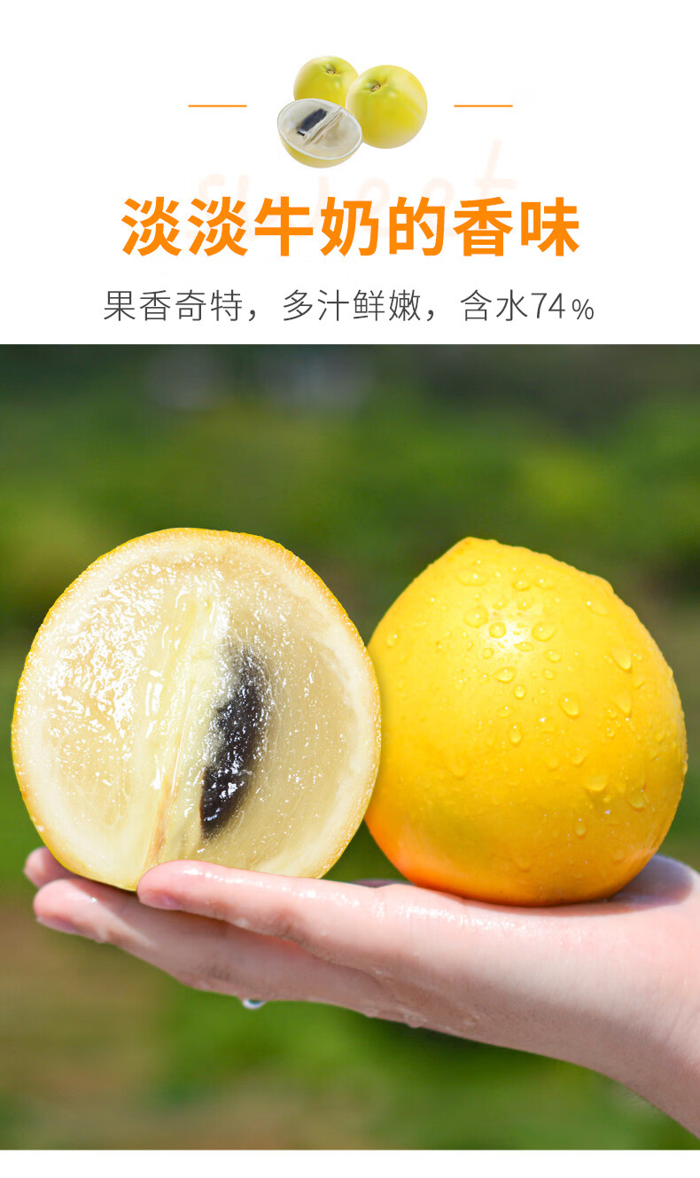 云南黄晶果加蜜冬蜜雅美果现摘当季新鲜水果稀有水果孕妇宝宝整箱罕见
