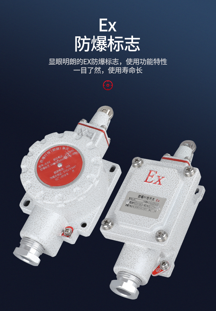 防爆行程开关 lx5-防爆脚踏开关 限位开关iib iic z/l/b/d/h/n dlx5-l