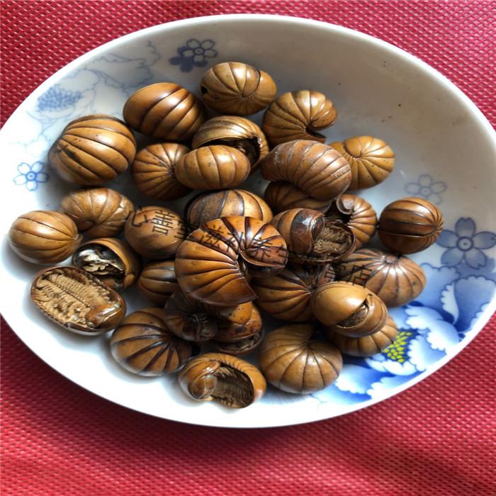 滚山虫药食滋补 500克 地罗汉 滚山珠精选滚山虫大个【图片 价格 品牌