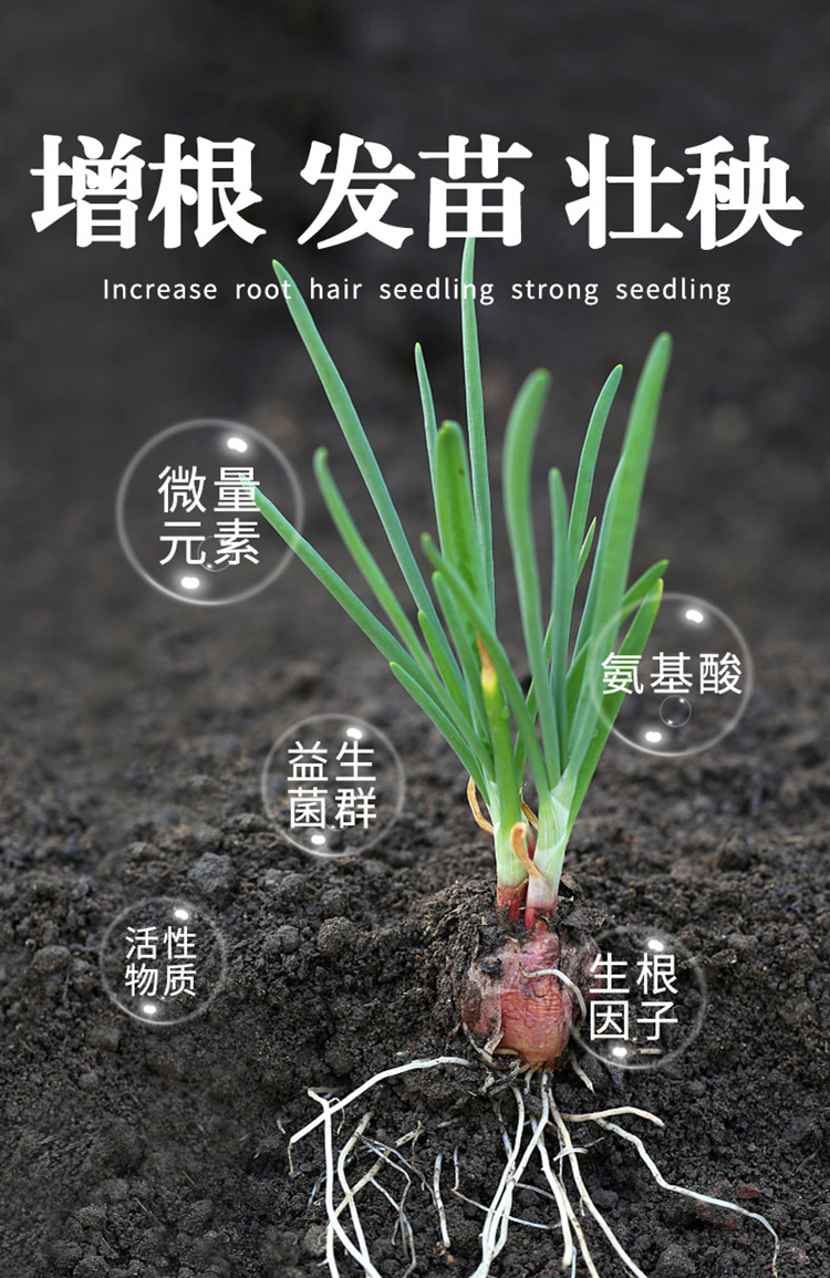 生根粉 多菌灵植物果树花卉通用多肉发财树强力移栽发根扦插生根粉液
