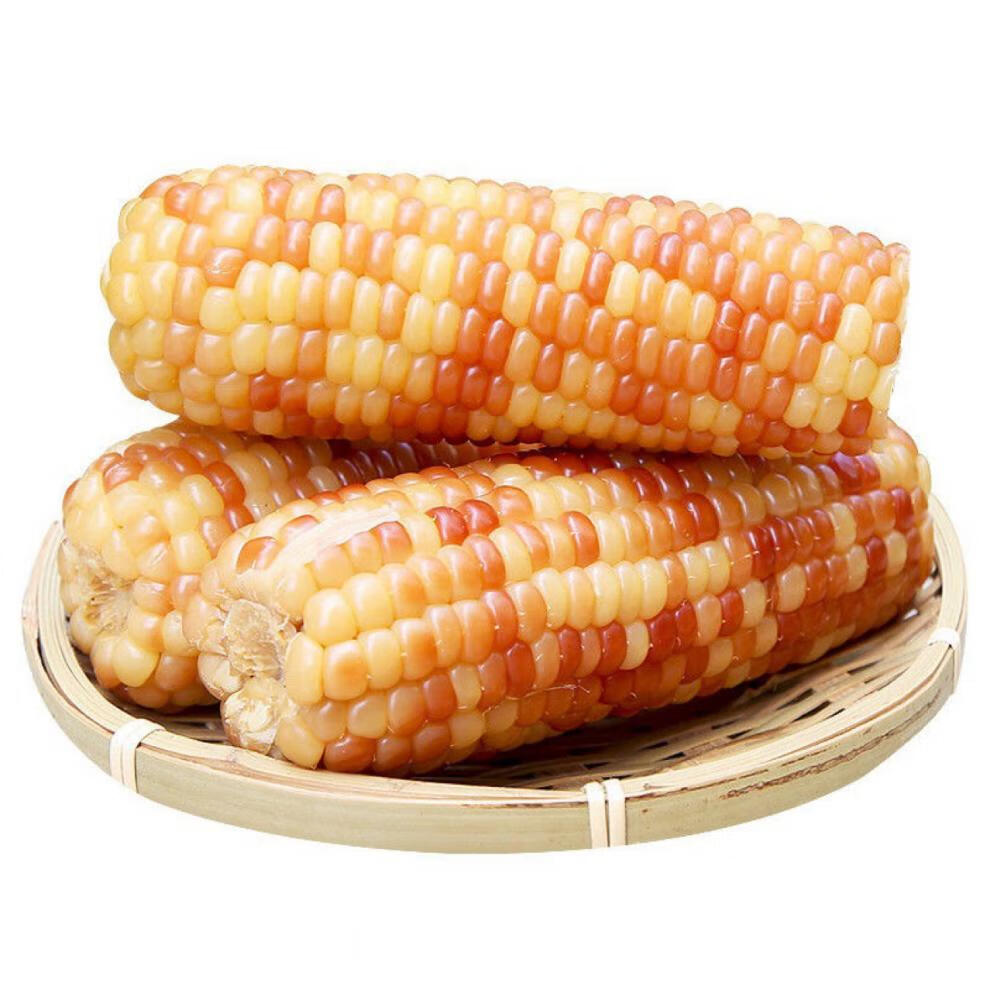 云南香糯小玉米糯玉米4斤 4斤普通装【图片 价格 品牌 报价】-京东