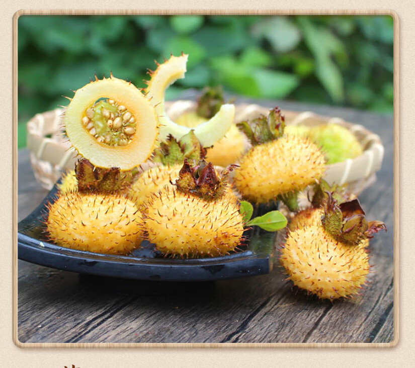 贵州新鲜刺梨果 金刺梨可泡水煮粥鲜果 5斤