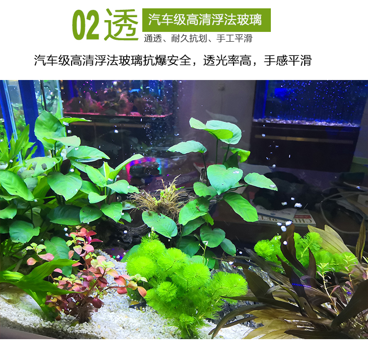 (送貨入戶)一米陽光 子彈頭魚缸水族箱客廳家用屏風隔斷玻璃金魚缸