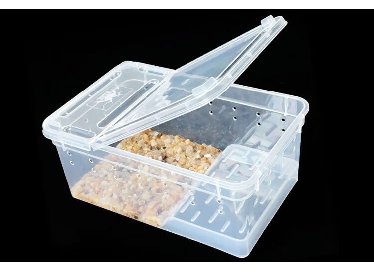 养蚕的盒子蚕宝宝饲养盒大 学生养蚕套装工具彩蚕宝宝手提盒子桑叶