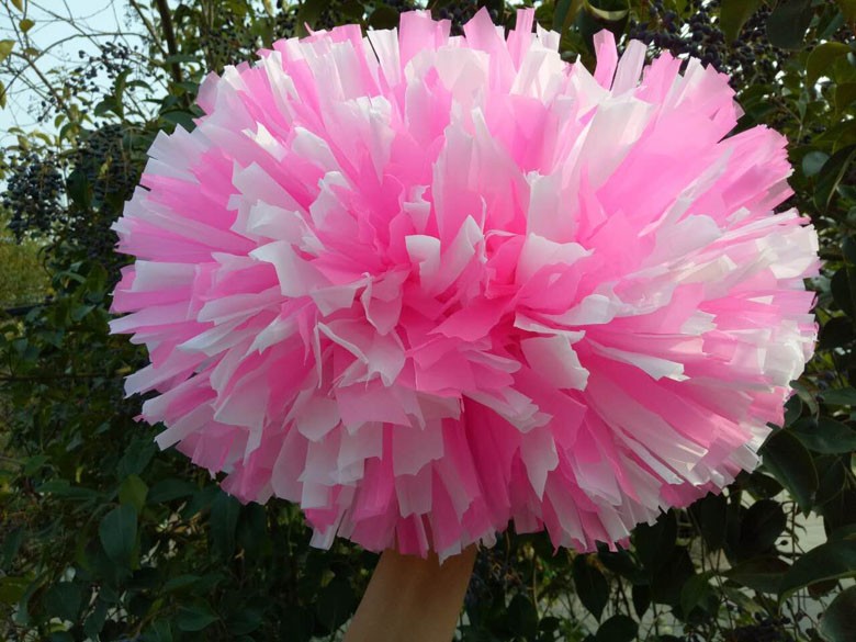 啦啦操花球啦啦队花球啦啦操彩球舞蹈手花啦啦队手遥花大号跳舞花哑光