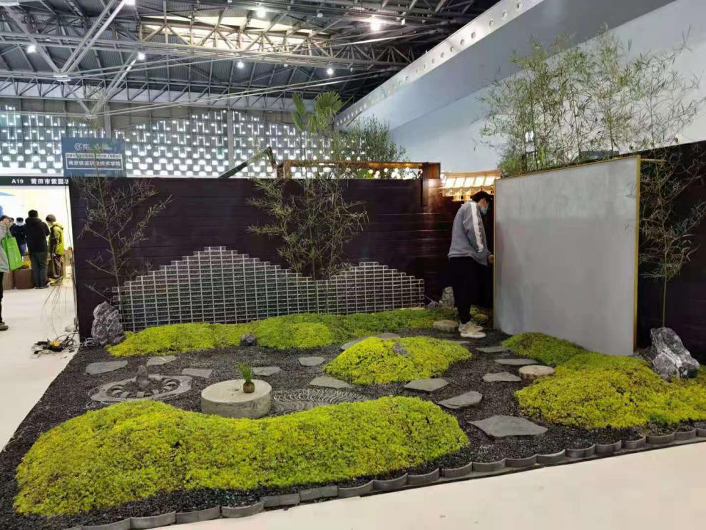 佛甲草地皮植物佛甲草庭院屋顶阳台工程好养草皮多年生北方可过网红草