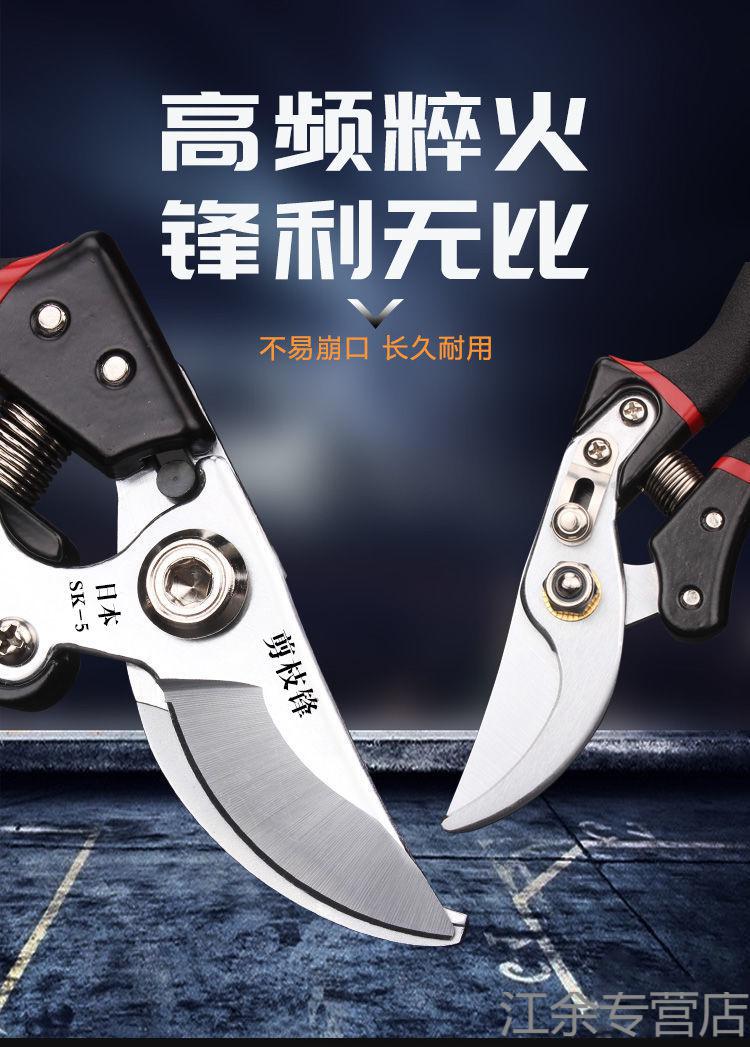 原装日本进口5钢果树修剪刀树枝修剪专用省力剪子园艺剪粗枝剪 【进口