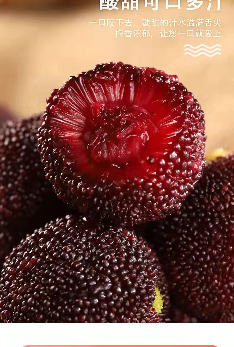 香馜空运冷链云南新鲜杨梅现摘早熟鲜果非仙居东魁杨梅时令孕妇水果5