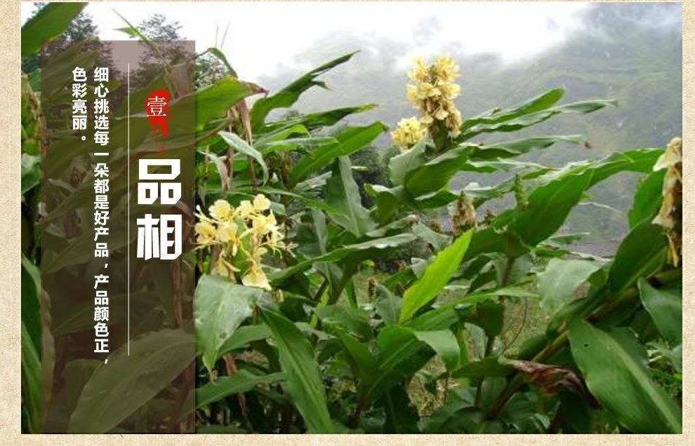 贵州特产草果花 草果 草果仁 草果子 老蔻非云南草果100g【图片 价格