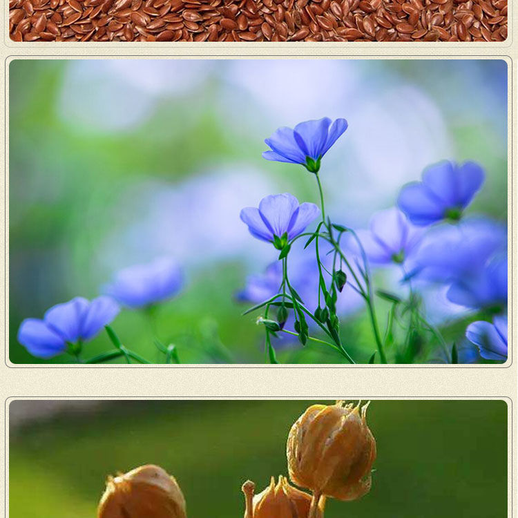 冷榨亚麻籽油脱蜡宁夏胡麻油食用油5斤【图片 价格 品牌 报价】-京东