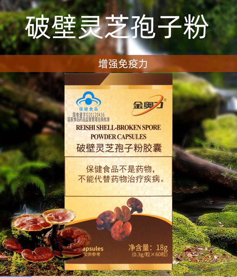 金奥力 破壁灵芝孢子粉胶囊 0.3g*60粒 增强免疫力 蛋白质粉400g