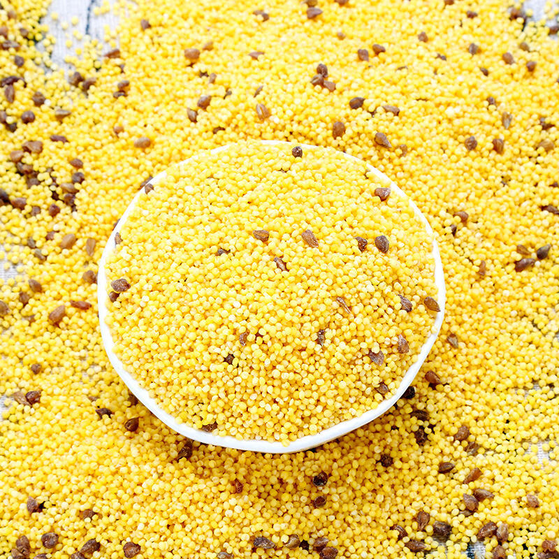 黄小米新米农家米苦荞小米五谷杂粮粥1斤5斤小黄米 小米苦荞2斤