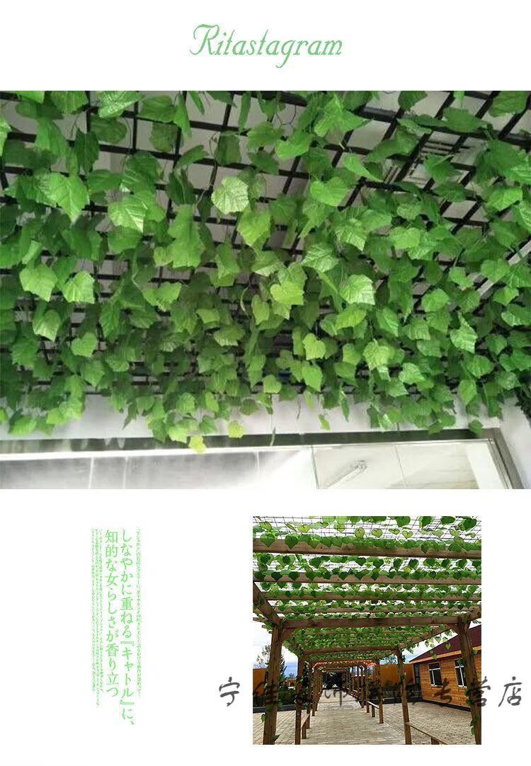 鎏铭仿真葡萄叶藤条树叶吊顶花藤装饰绿叶绿植藤蔓水管道遮挡塑料假花