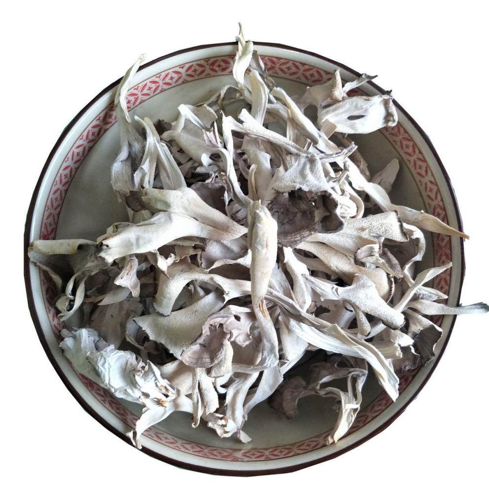 橙伯乐 栗蘑迁西2021年新栗蘑干 栗蘑500g灰树花干货 灰栗树蘑菇菌