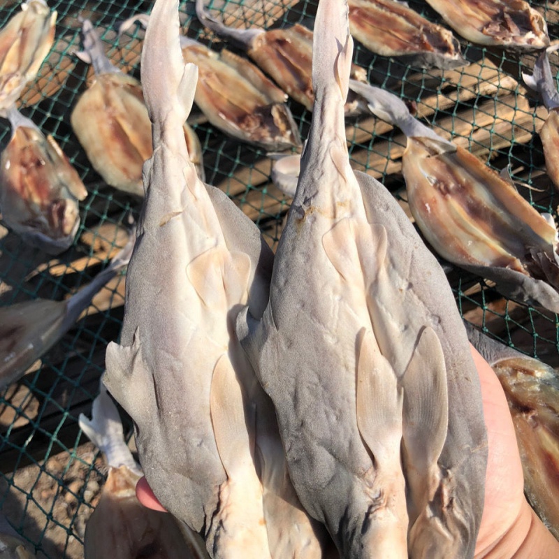 北海特产渔民自晒鲨鱼干大海鱼咸鱼干发海鲜干货特产 500g【图片 价格
