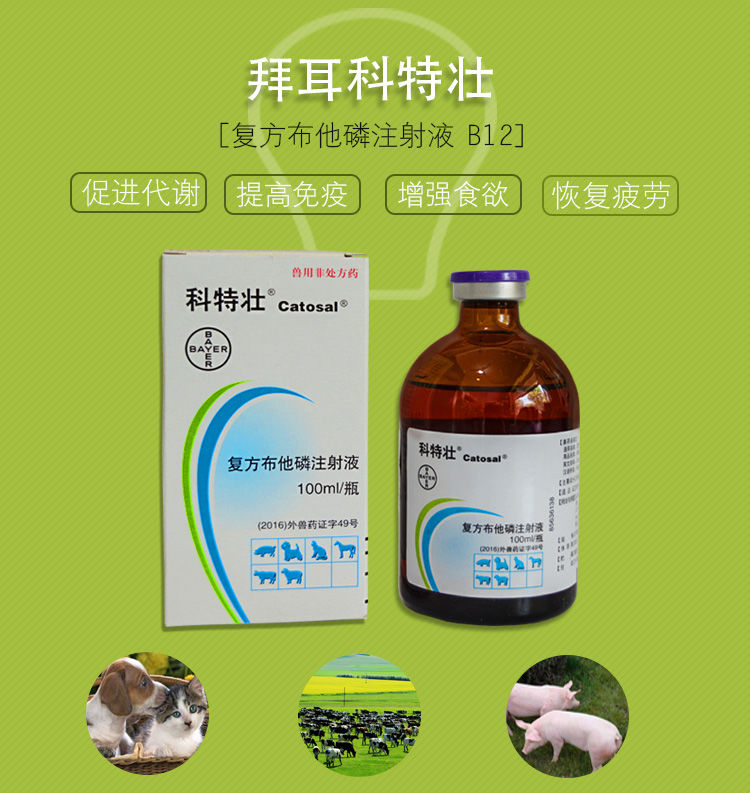 獸藥獸用複方布他磷注射液拜耳科特壯補能量寵物犬貓豬增食慾提高免疫