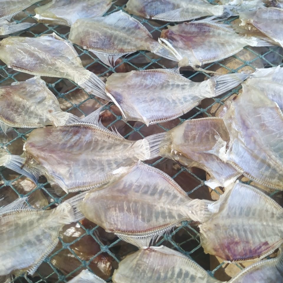 潮汕特色美食剥皮耗子鱼干日晒风干250g圆身迪仔鱼干微咸 圆身250g