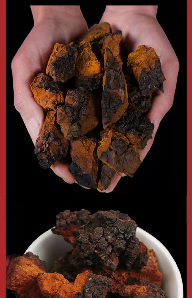 俄罗斯原装进口桦树茸白桦茸正宗特级黑金颗粒桦褐孔菌野生俄罗斯普通