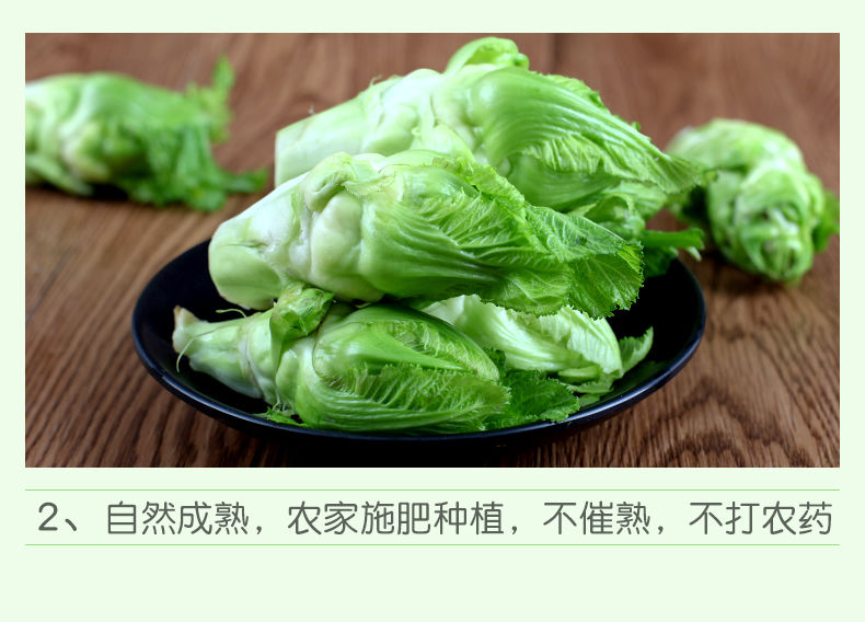 四川新鲜儿菜新鲜娃娃菜时令蔬菜母子泡菜原料抱儿菜芥菜农家自种八斤