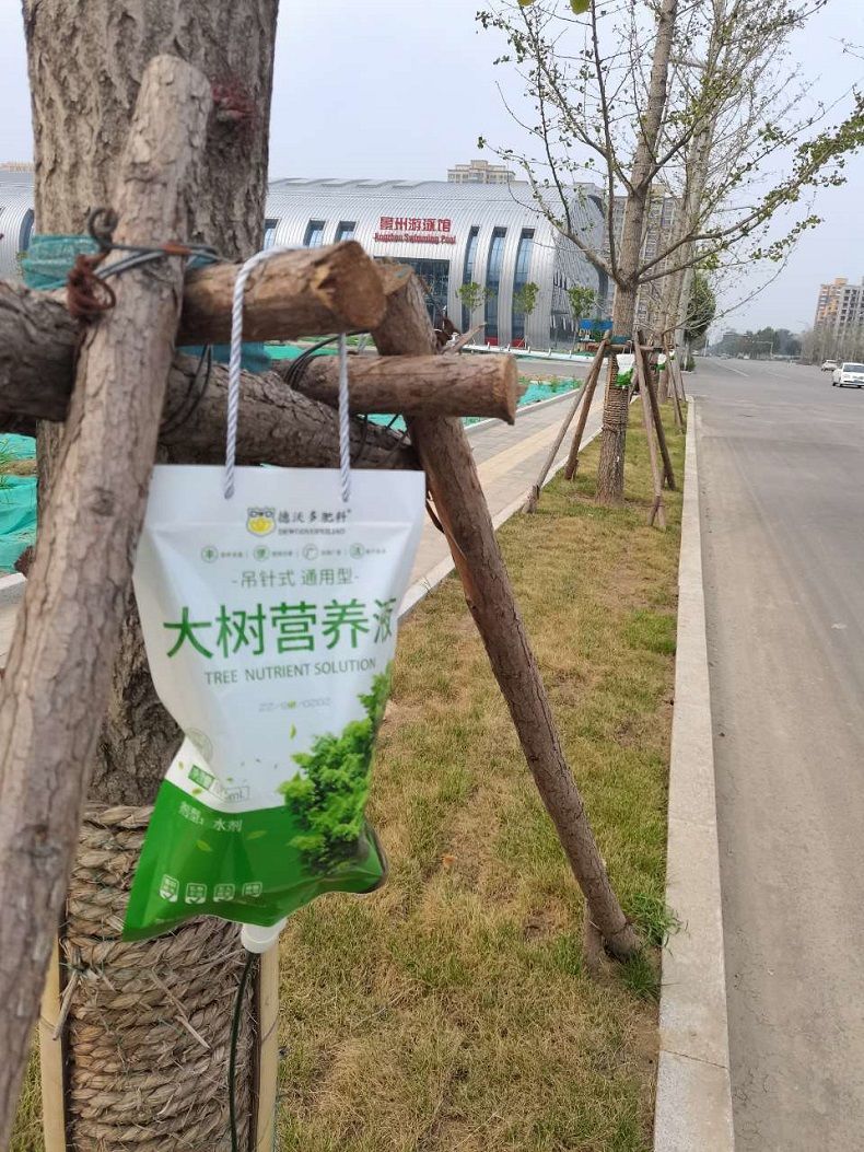 生根粉 树木移栽大树营养液树木吊针液激活液乔木移栽桂花吊袋液复壮