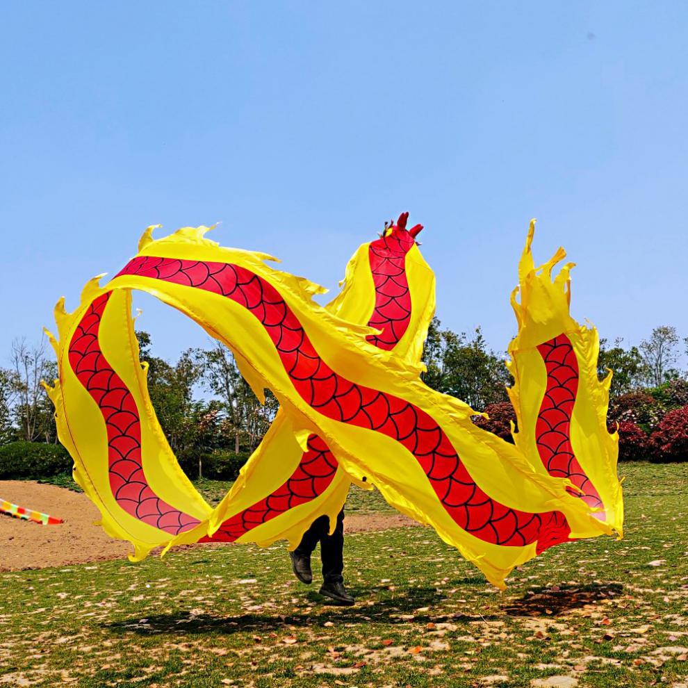 宝利嘉动感游龙健身龙带甩彩带舞龙甩龙广场舞绳子舞抖彩绸甩龙龙头