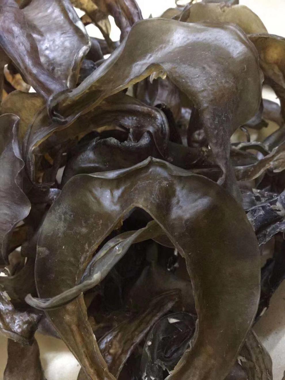 甲鱼 裙边 鳖边 一斤40个 干净 酒店 饭店 用品 质量好 营养丰富 水鱼