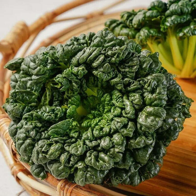 乌塌菜现发常熟小八叶塌菜青菜黄心菜千叶菜黑油白菜火锅好配菜新鲜