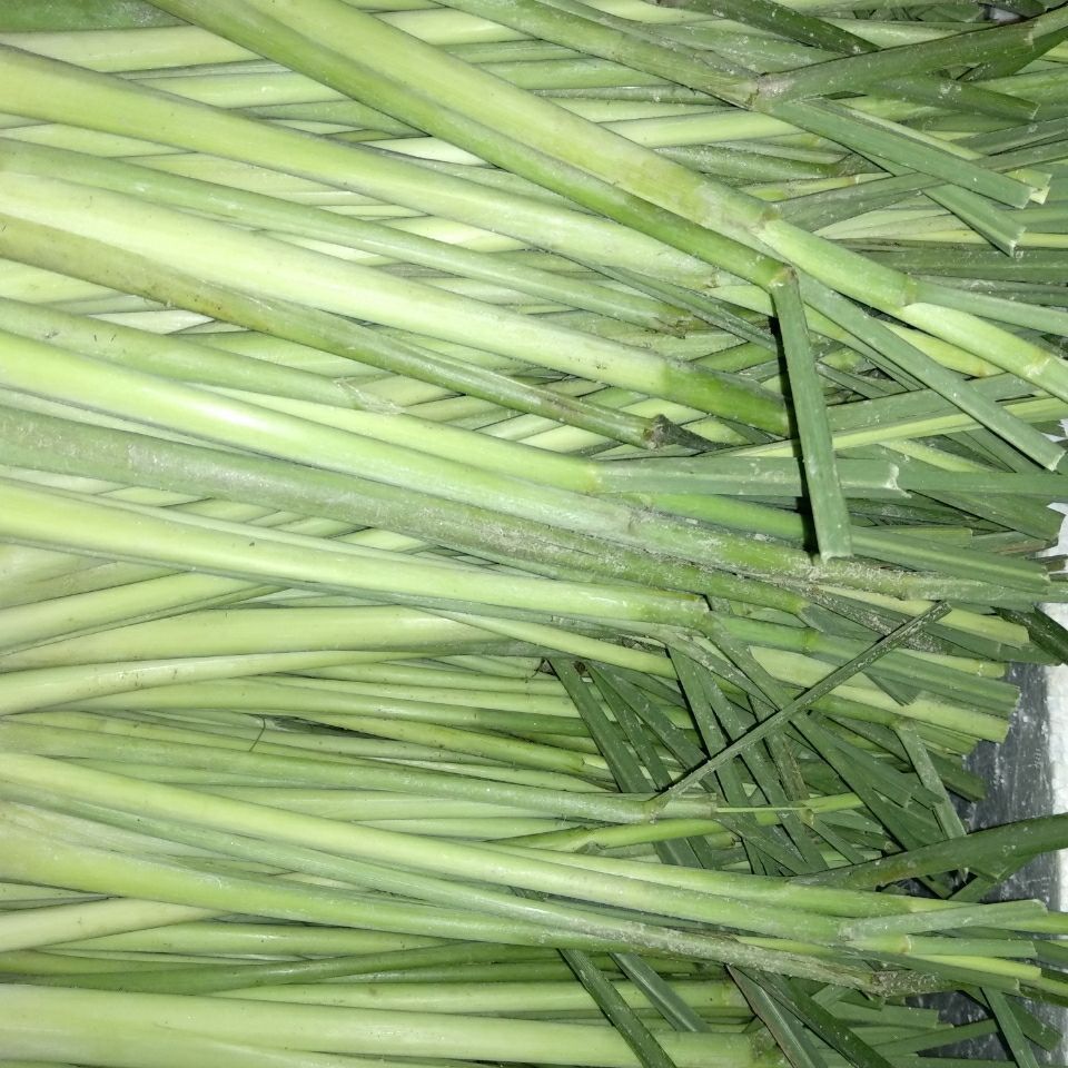 新鲜香茅草15斤泰国冬阴汤料理奶茶火锅店调味越南柠檬草1斤