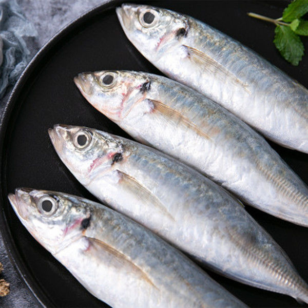 顺丰速运新鲜巴浪鱼海鲜水产冷冻海鱼福建特产海捕冰鲜鳀鱼提鱼一斤巴