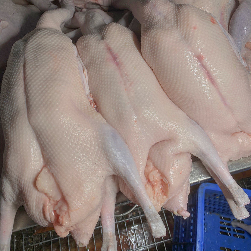 清远黑棕鹅农家散养新鲜大鹅肉整只现杀现发华奥薇斯67斤整只鹅去内脏