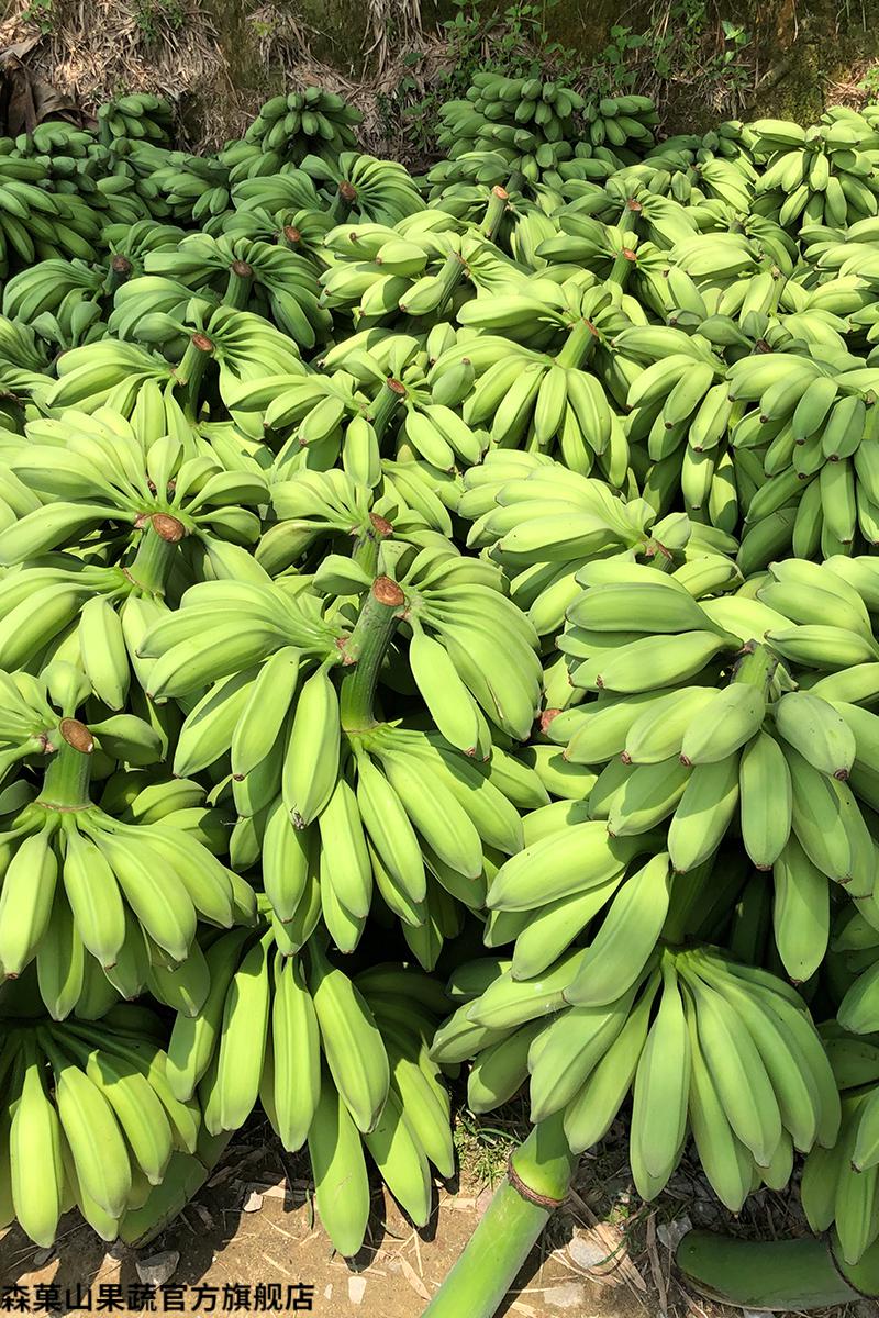 现摘广西大芭蕉新鲜香蕉10斤带箱酸甜大芭蕉巴蕉牛蕉4500g