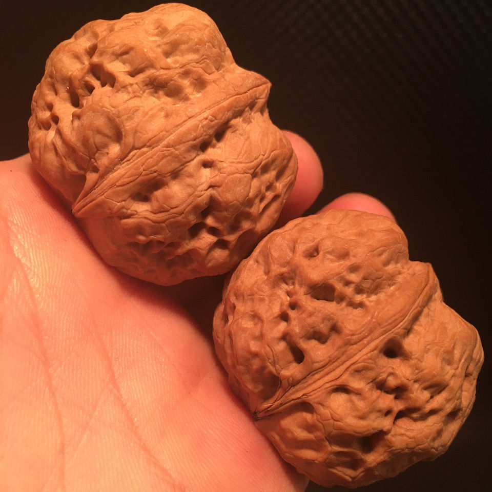 野生云南铁核桃大粗筋卧龙蛤蟆头 生日礼物 节日礼品 42以上