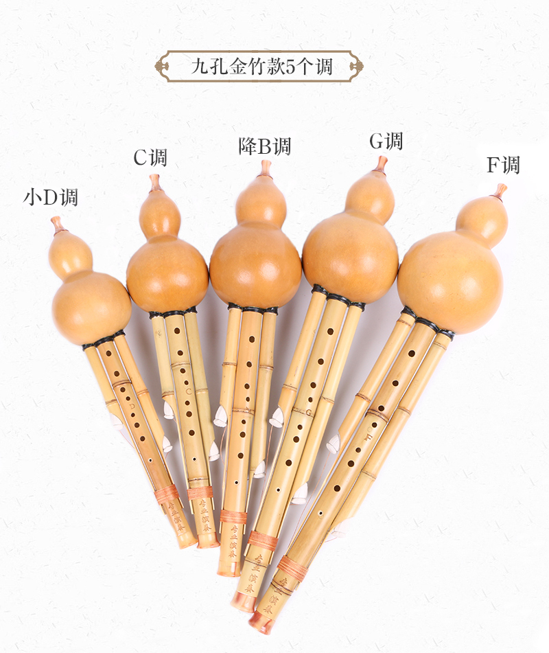 降b調葫蘆絲九孔子樂九孔葫蘆絲寬音域成人學生演奏8孔9孔c調降b小dgf