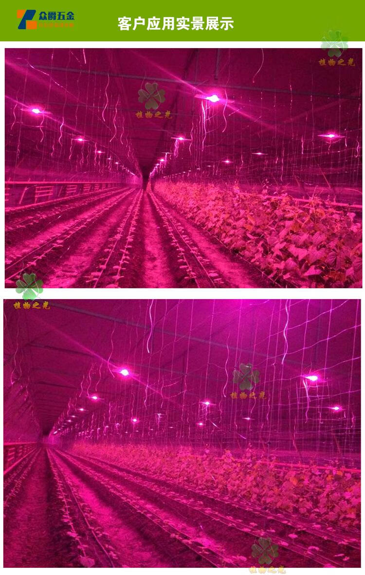 户外防水全光谱仿太阳温室大棚植物补光灯花卉育苗多肉叶菜生长灯150w