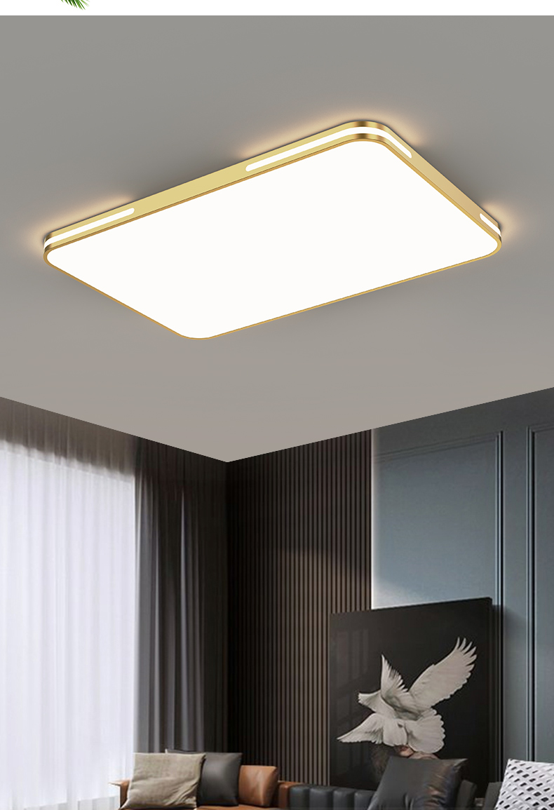2021年新款长方形大灯简约现代led吸顶灯客厅灯大气家用灯具 金美方40
