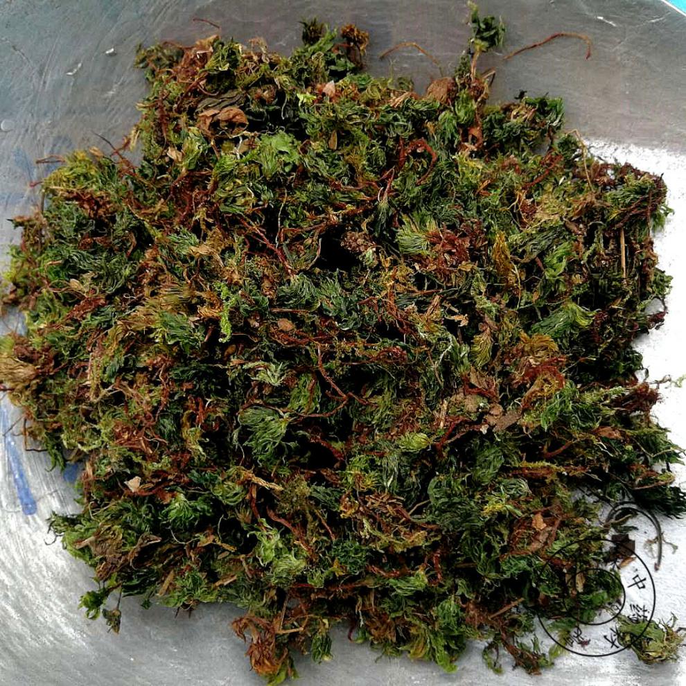 雲南中藥材迴心草茴心草茴薪草鐵腳一把傘巖谷傘50克100克